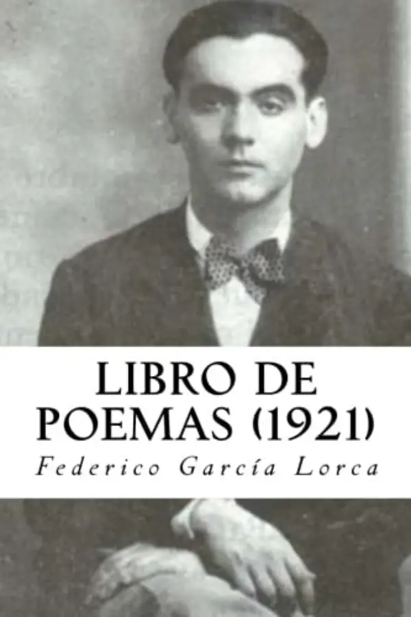 Libro de poemas